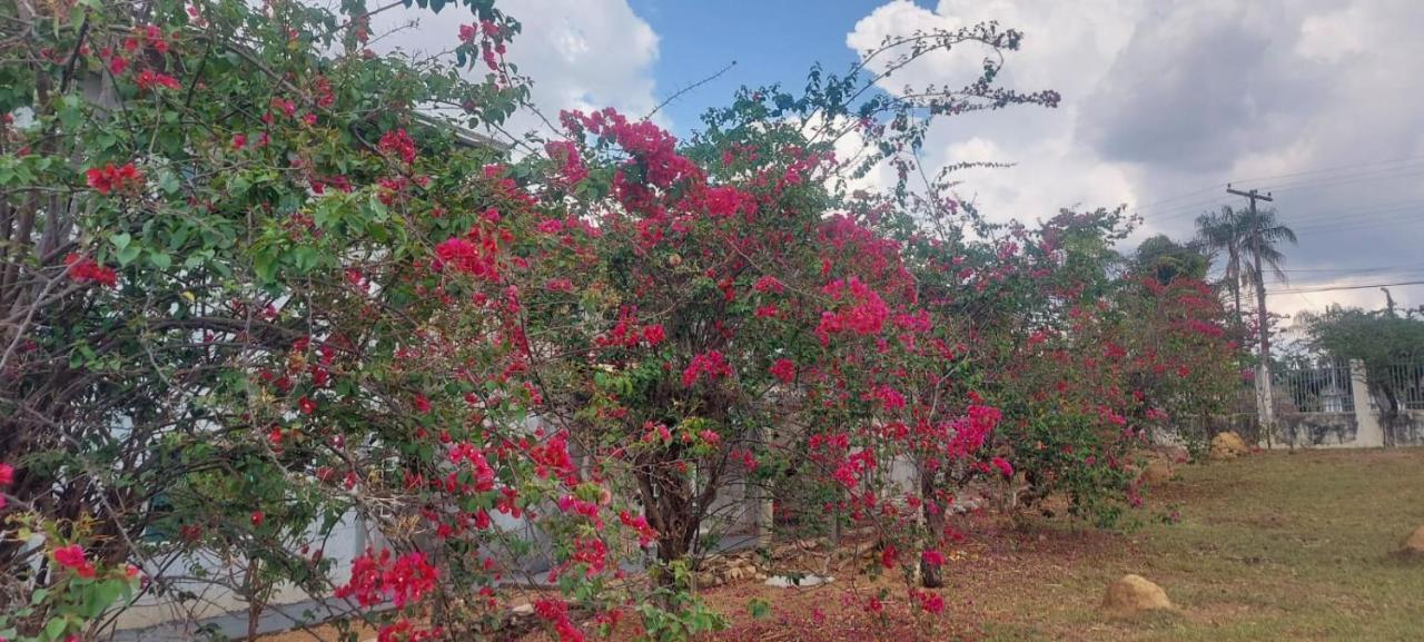 Villa De Assis Suites Alto Paraíso de Goiás Kültér fotó